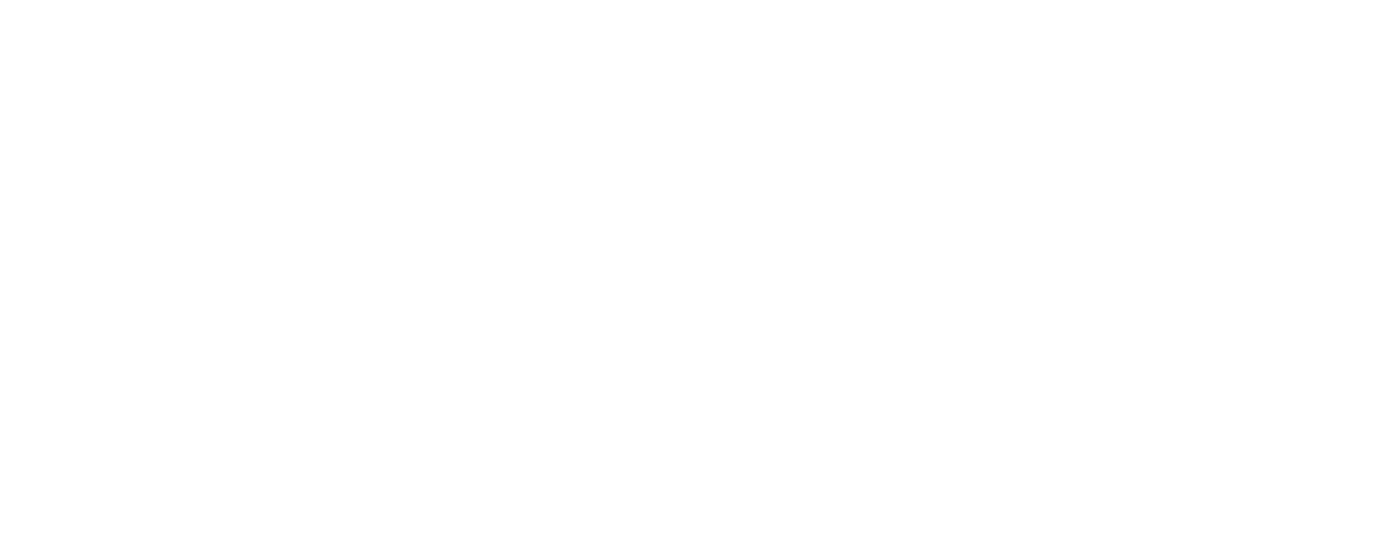 SurveyJet